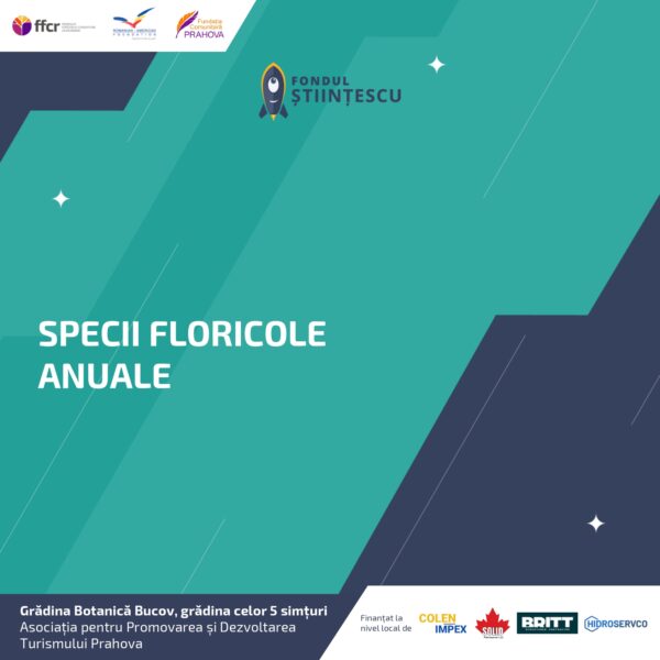 A3_Culoarea semintelor petalelor_page-0005
