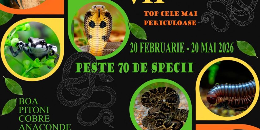 Expoziția Reptile vii