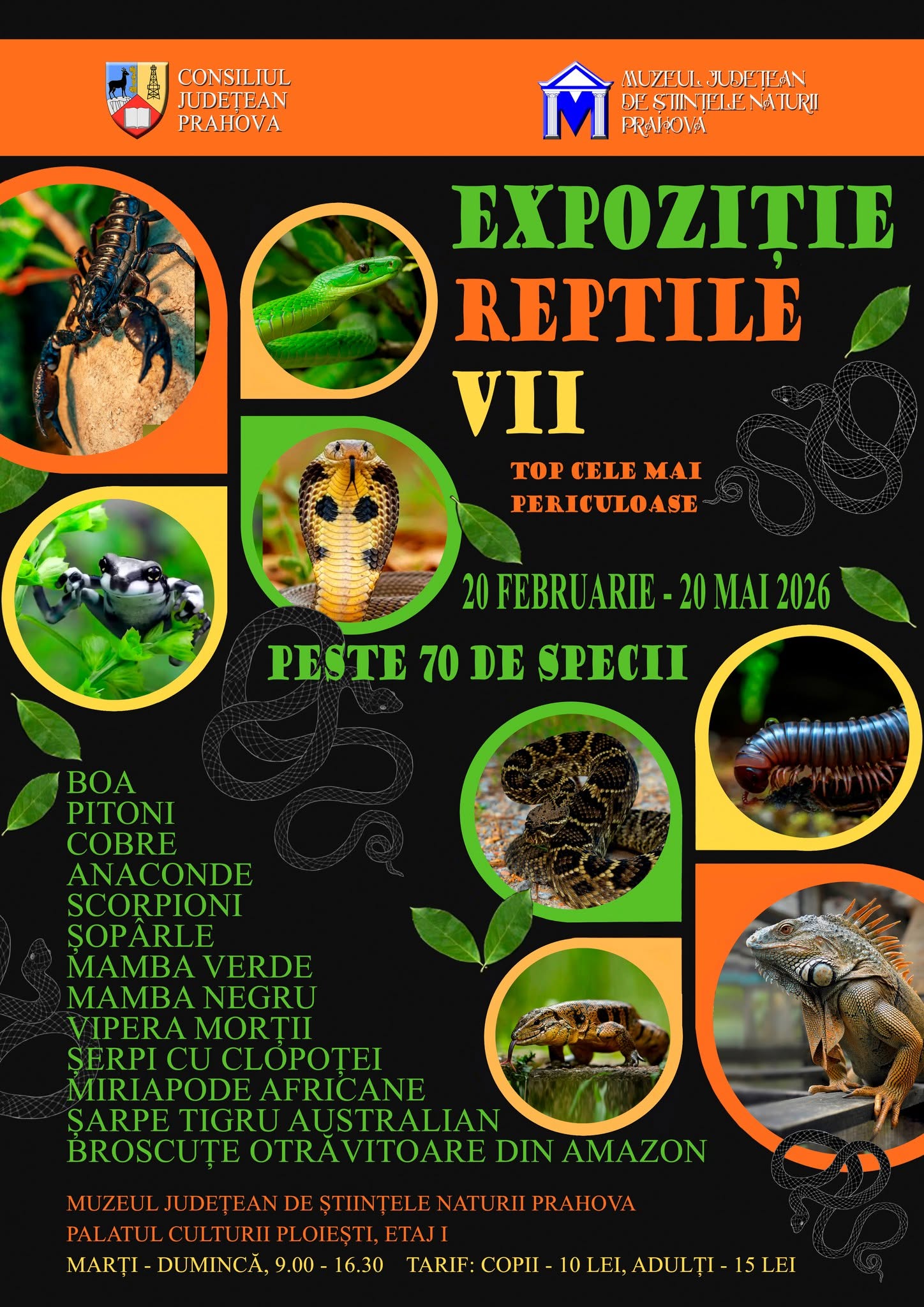 Expoziția Reptile vii