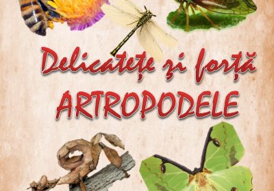 “Delicateţe şi forţă – Artropodele”