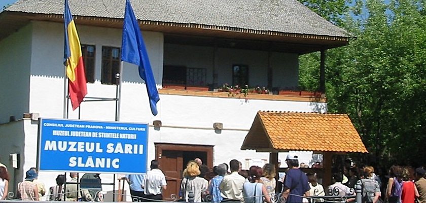 Muzeul Sarii