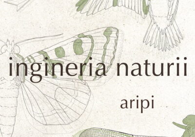 ”Ingineria naturii – Aripi”