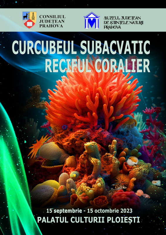 Curcubeul subacvatic – Reciful coralier